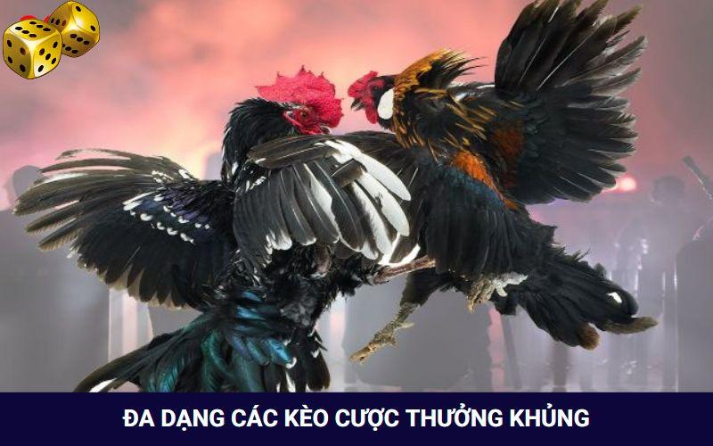 Đa dạng các kèo cược thưởng siêu khủng