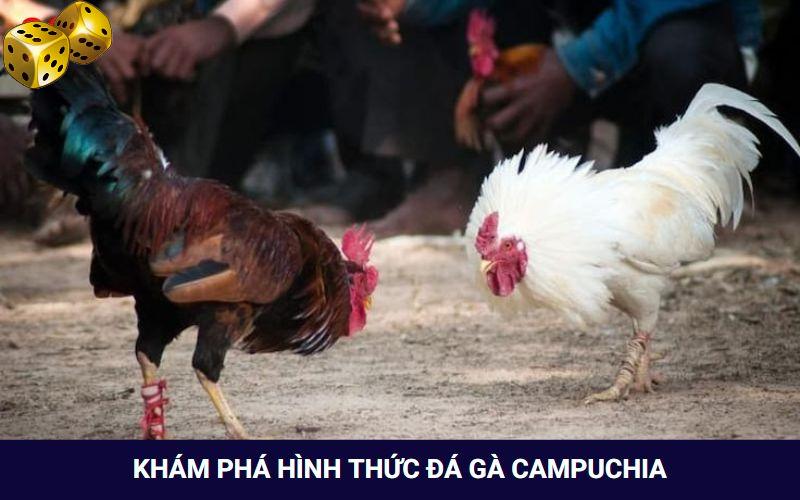 hinh-thuc-da-ga-campuchia